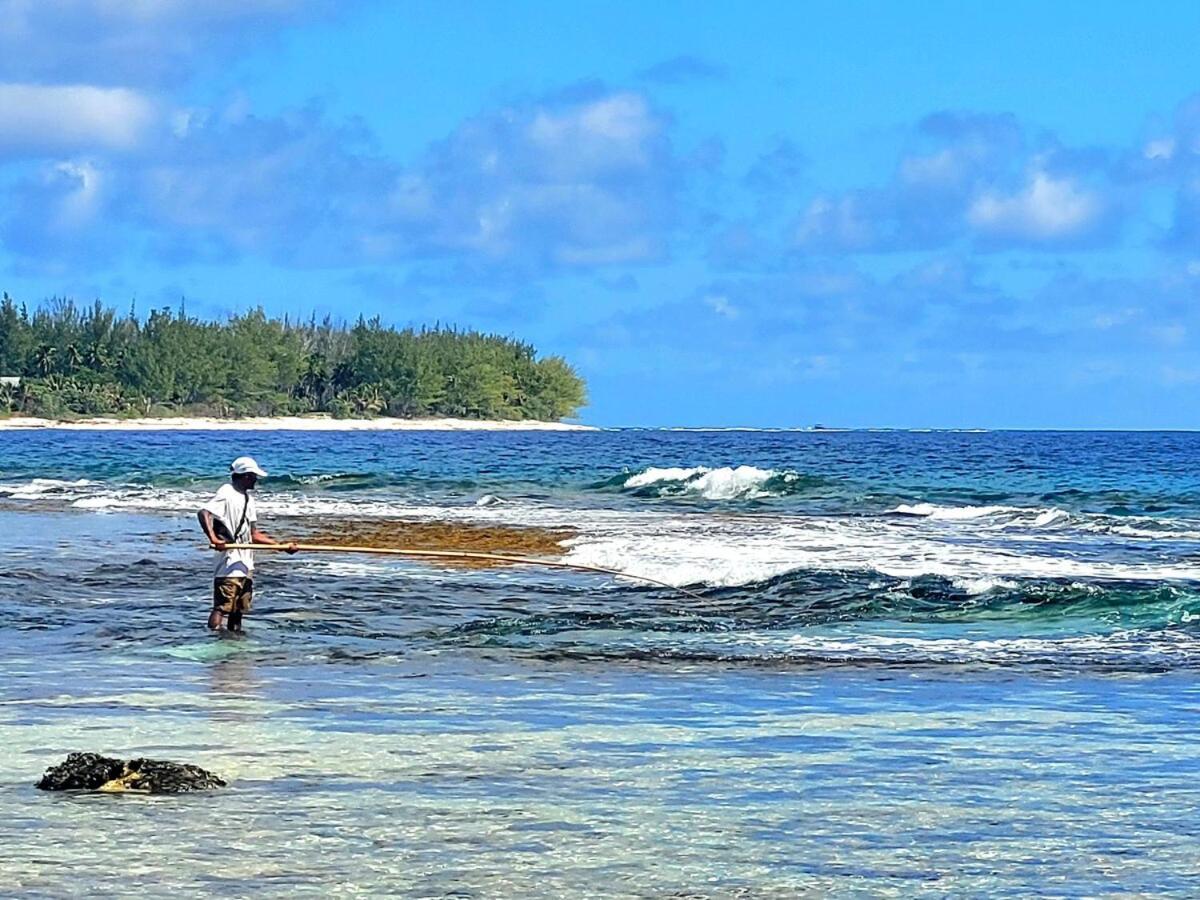 Un Ecrin De Paix Au Soleil Et Proche De La Mer 莫雷阿 外观 照片