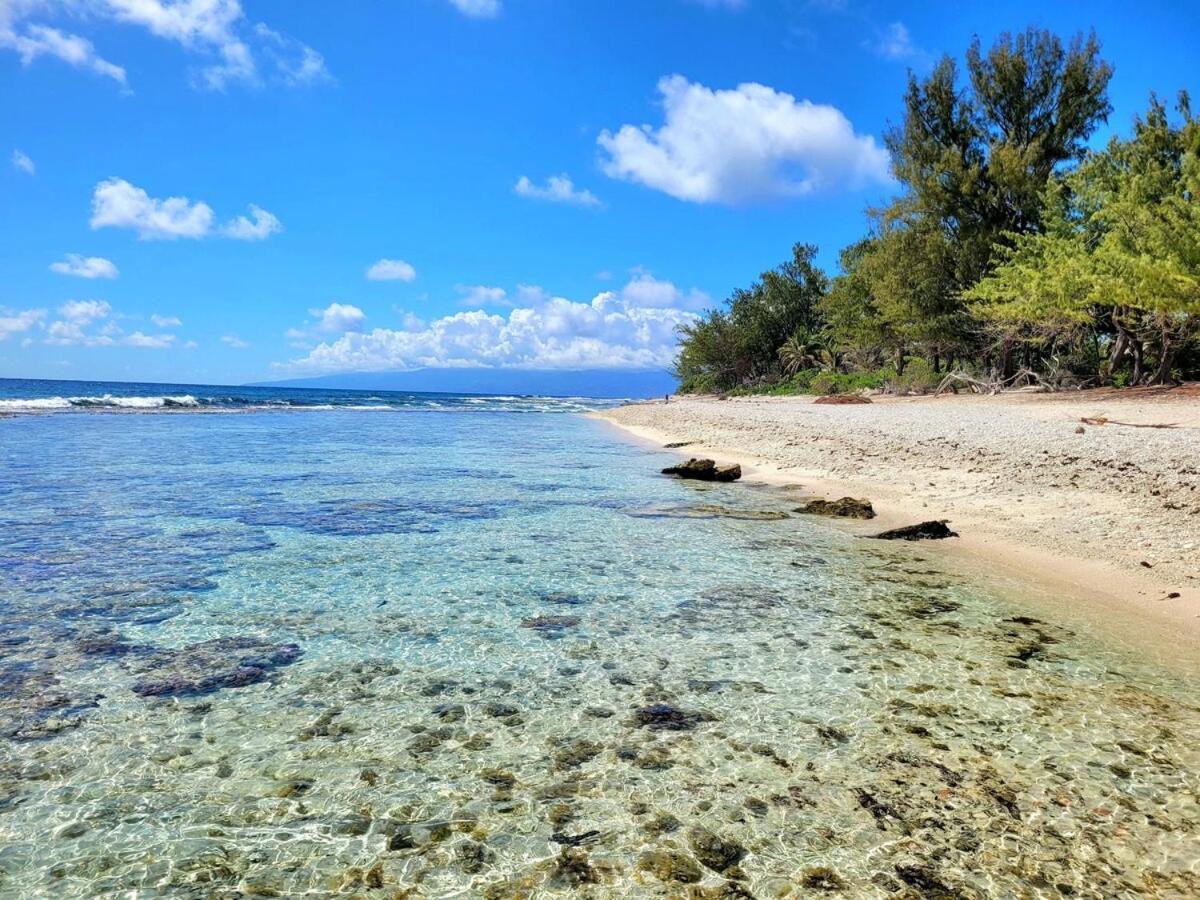 Un Ecrin De Paix Au Soleil Et Proche De La Mer 莫雷阿 外观 照片