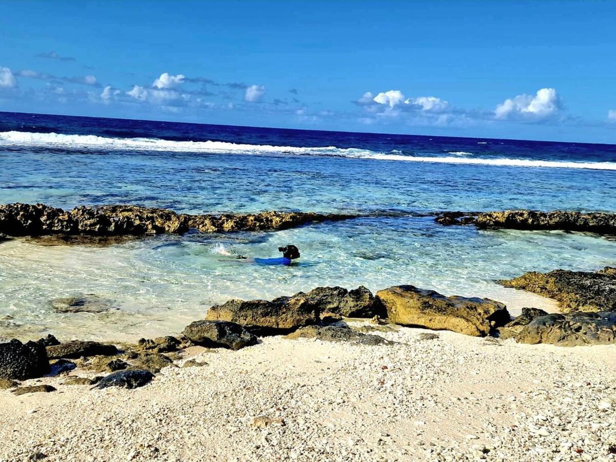 Un Ecrin De Paix Au Soleil Et Proche De La Mer 莫雷阿 外观 照片
